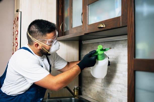 Best Bed Bug Extermination  in Glandorf, OH