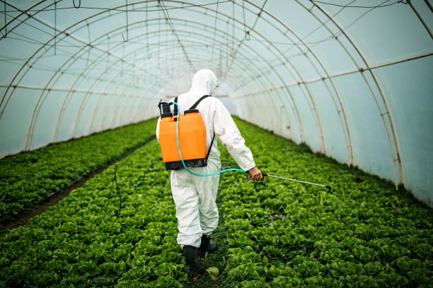 Best Best Pest Control Companies  in Glandorf, OH