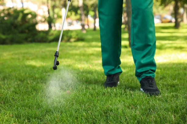 Best Insect Control  in Glandorf, OH