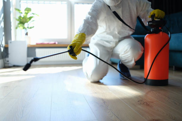 Professional Pest Control in Glandorf, OH