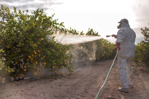 Best Pest Control Cost  in Glandorf, OH