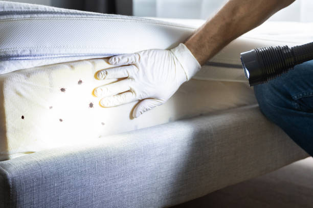 Best Pest Prevention Services  in Glandorf, OH