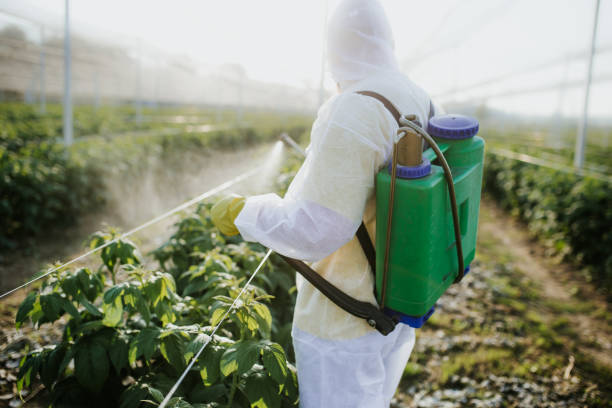 Wildlife Control Services in Glandorf, OH